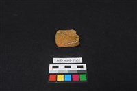 陶片藏品圖，第2張