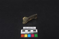 陶片藏品圖，第3張