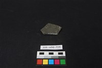 陶片藏品圖，第2張