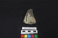 陶片藏品圖，第1張