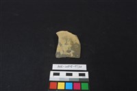 陶片藏品圖，第1張