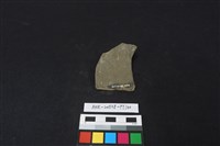 陶片藏品圖，第2張