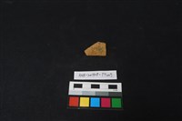 陶片藏品圖，第1張