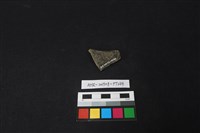 陶片藏品圖，第2張