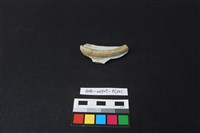 瓷片藏品圖，第1張