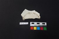 瓷片藏品圖，第1張