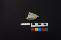 瓷片藏品圖，第1張