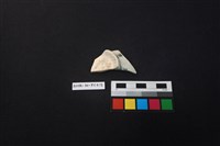 瓷片藏品圖，第2張