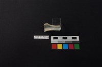 瓷片藏品圖，第3張