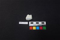 瓷片藏品圖，第2張