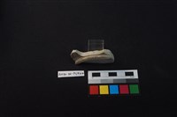 瓷盤藏品圖，第3張