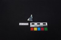 瓷片藏品圖，第1張