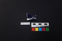 瓷片藏品圖，第2張