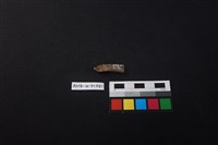 瓷把藏品圖，第1張