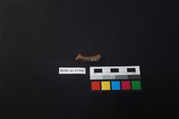 瓷把藏品圖，第4張