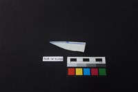 瓷碗藏品圖，第2張