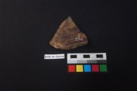 硬陶片藏品圖，第2張