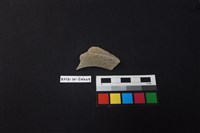 硬陶片藏品圖，第2張