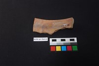 硬陶片藏品圖，第2張