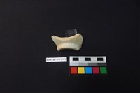 瓷碗藏品圖，第3張