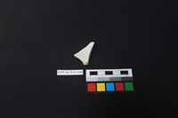 瓷片藏品圖，第2張