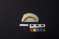 瓷碗藏品圖，第2張