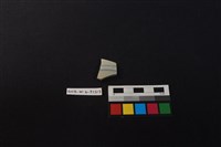 瓷片藏品圖，第1張