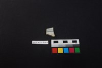 瓷片藏品圖，第2張