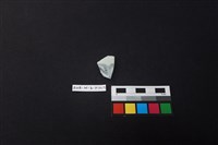 瓷片藏品圖，第1張