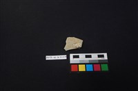 瓷片藏品圖，第1張