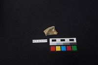 瓷片藏品圖，第2張