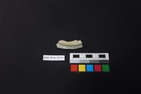 瓷盤藏品圖，第3張