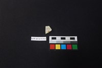 瓷片藏品圖，第2張