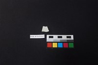 瓷片藏品圖，第2張