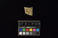 陶片藏品圖，第3張