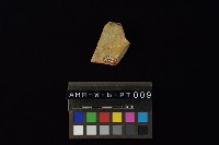 陶片藏品圖，第4張