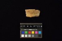 陶罐藏品圖，第4張