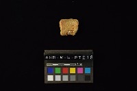 陶罐藏品圖，第4張