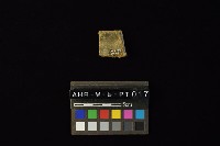 陶片藏品圖，第1張