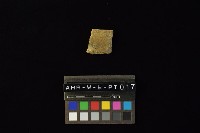 陶片藏品圖，第3張