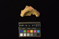 陶片藏品圖，第2張