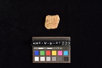 陶片藏品圖，第1張