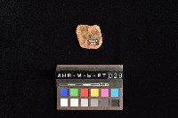 陶片藏品圖，第2張