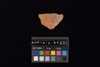 陶片藏品圖，第2張