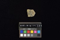 陶片藏品圖，第4張