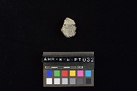 陶片藏品圖，第2張