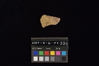 陶片藏品圖，第2張