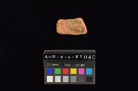 陶片藏品圖，第3張