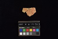 陶片藏品圖，第1張