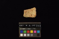 陶片藏品圖，第3張